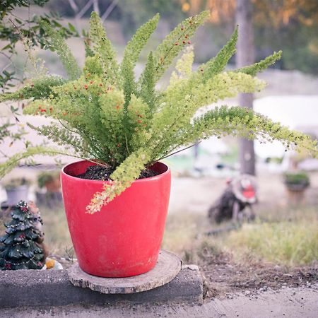 Villa Chetrus Casa En Plena Naturaleza Rubi Ngoại thất bức ảnh